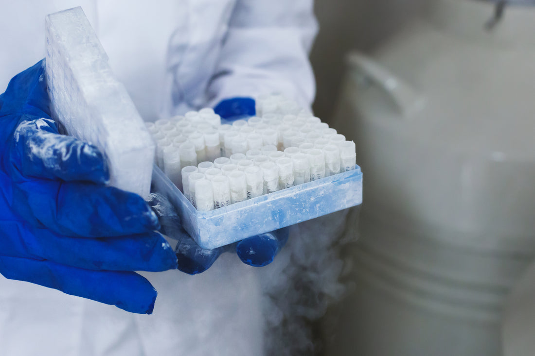 Biotech R&D Labs