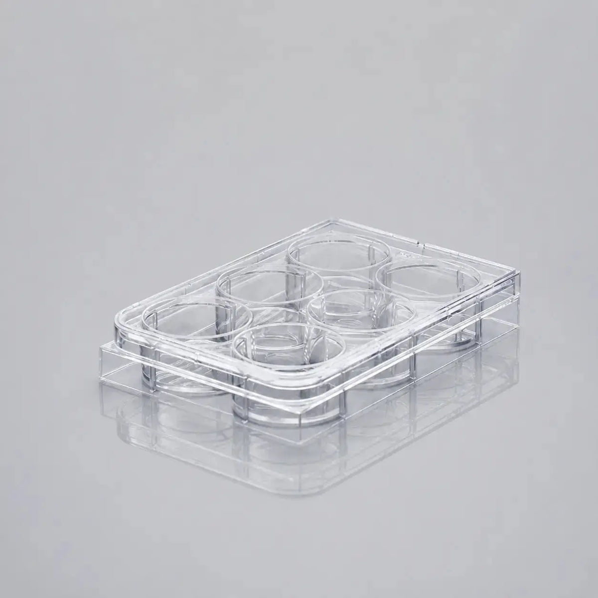 Clear D2L 6-well cell culture plate shown at an angle on a gray background