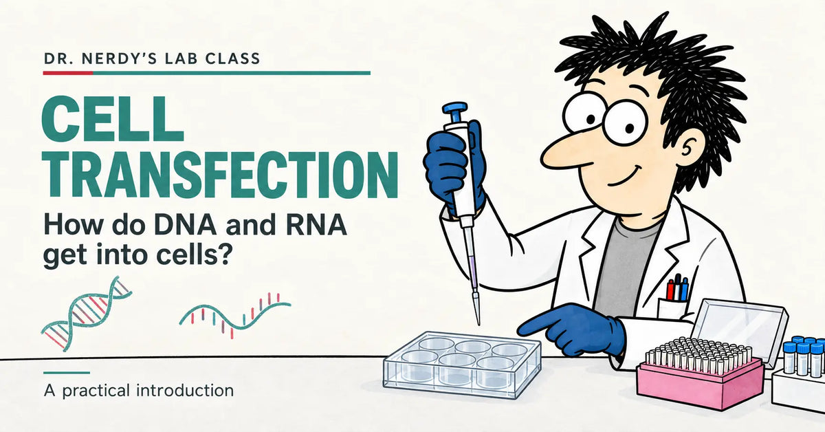 Dr. Nerdy introduces cell transfection with a pipette and cell culture plate.