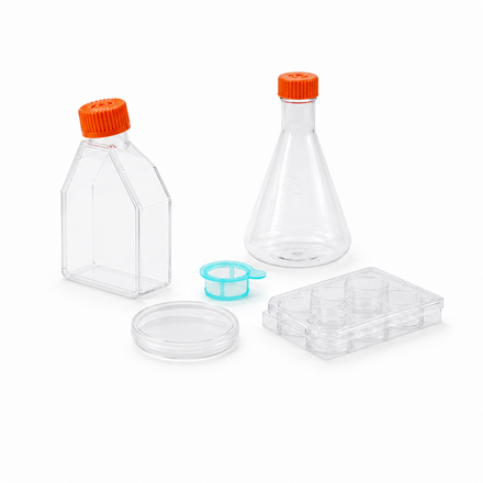 Cell culture flasks, plates, dishes, cell strainers, and Erlenmeyer shake flasks for laboratory cell culture applications.