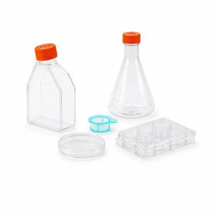Cell culture flasks, plates, dishes, cell strainers, and Erlenmeyer shake flasks for laboratory cell culture applications.