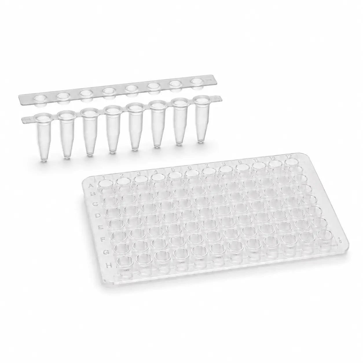PCR tubes and strips with a 96-well PCR plate for molecular biology, PCR amplification, and laboratory sample processing.