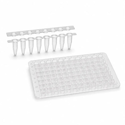 PCR tubes and strips with a 96-well PCR plate for molecular biology, PCR amplification, and laboratory sample processing.