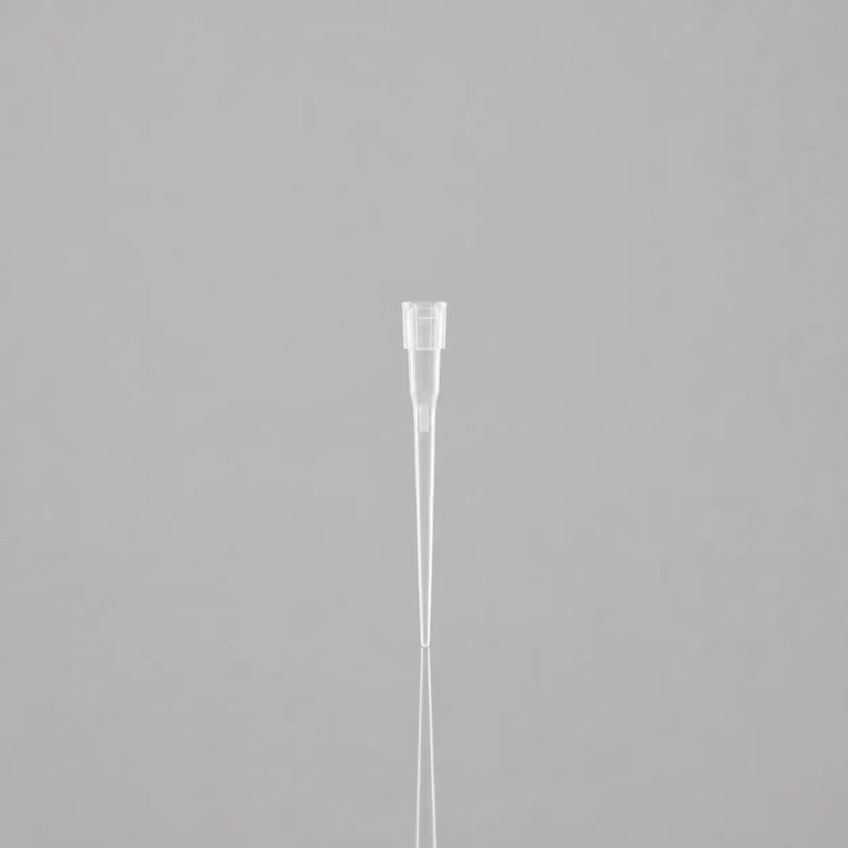 D2L0019 product image