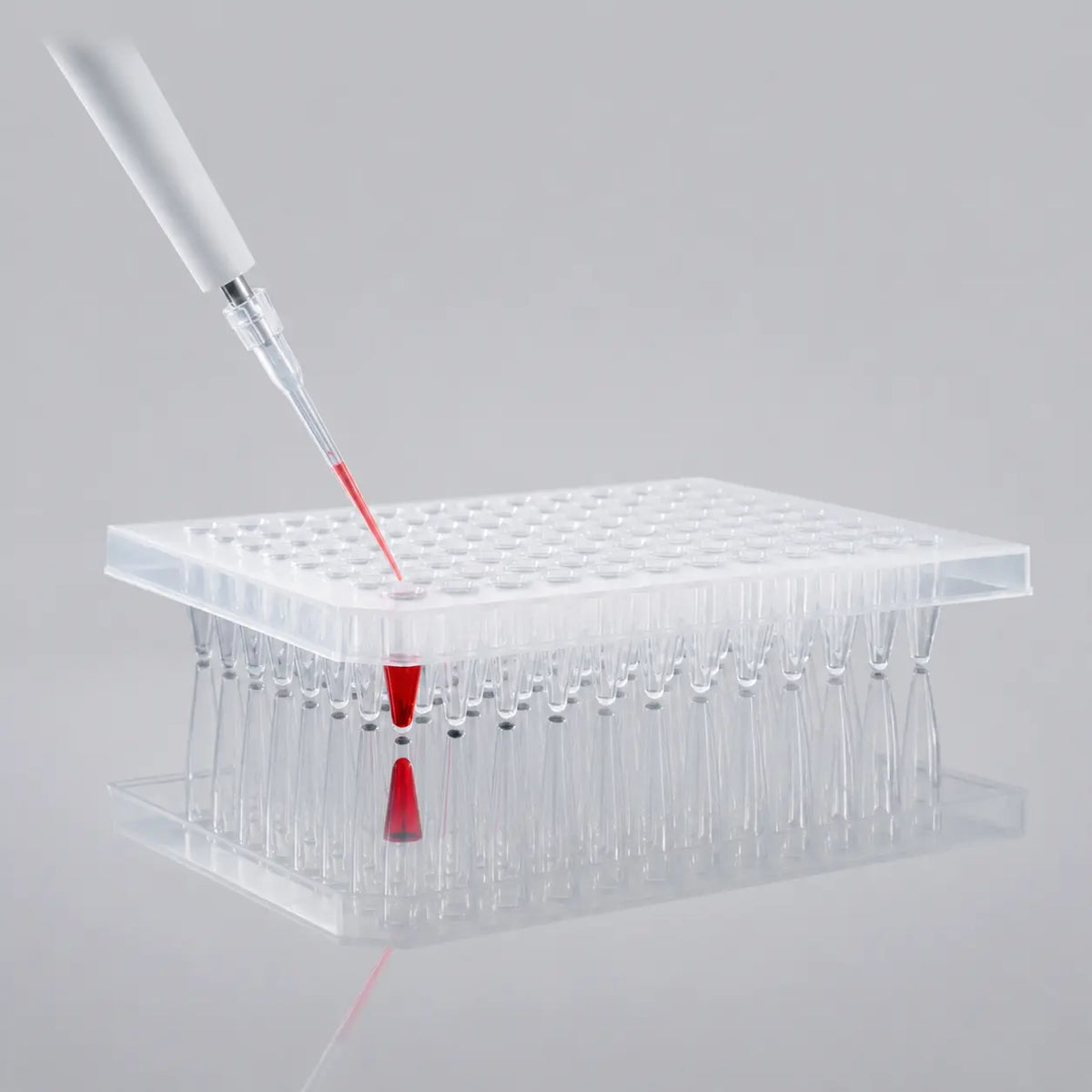 D2L0021 product image