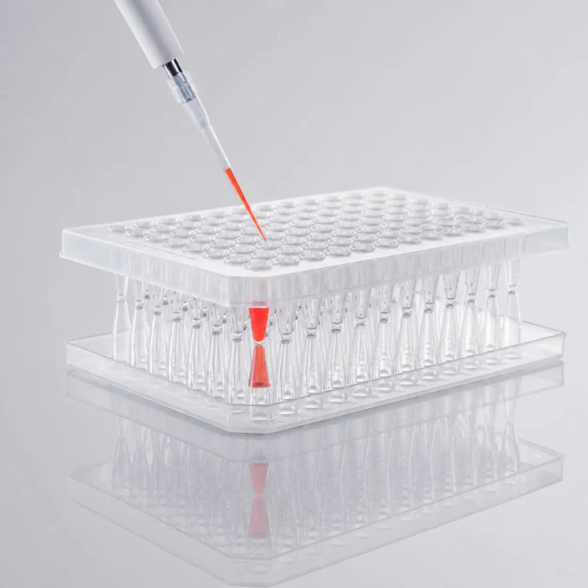 D2L0023 product image