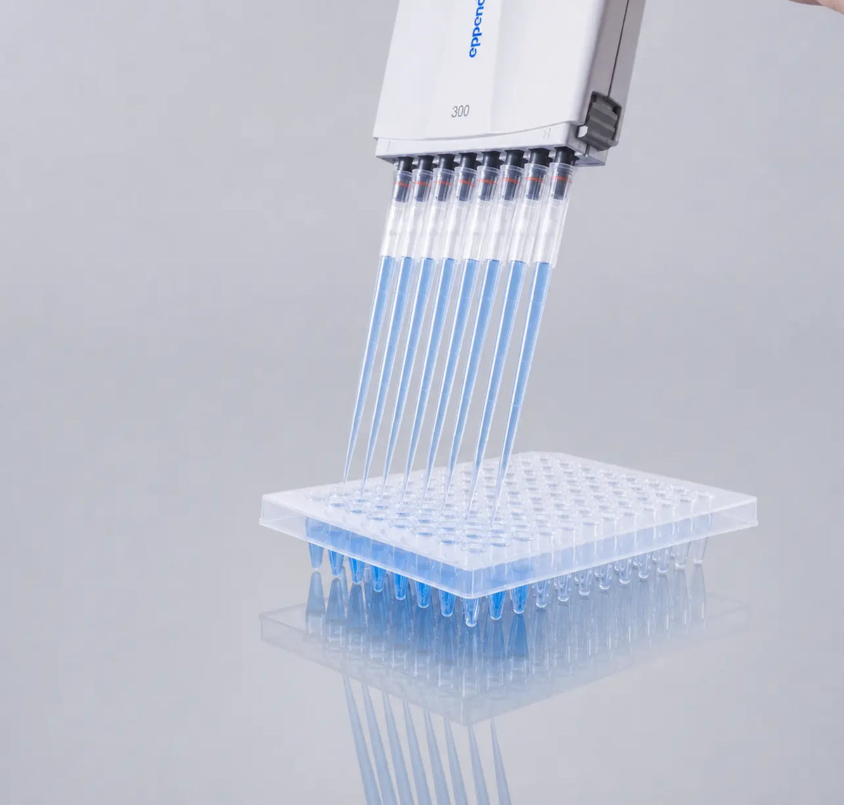 D2L0024 product image