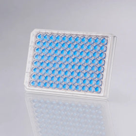 D2L0053 product image