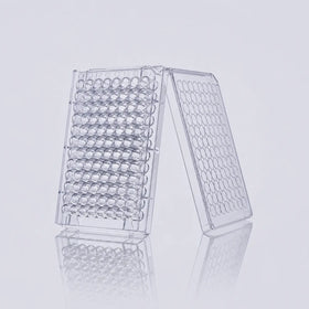 D2L0060 product image