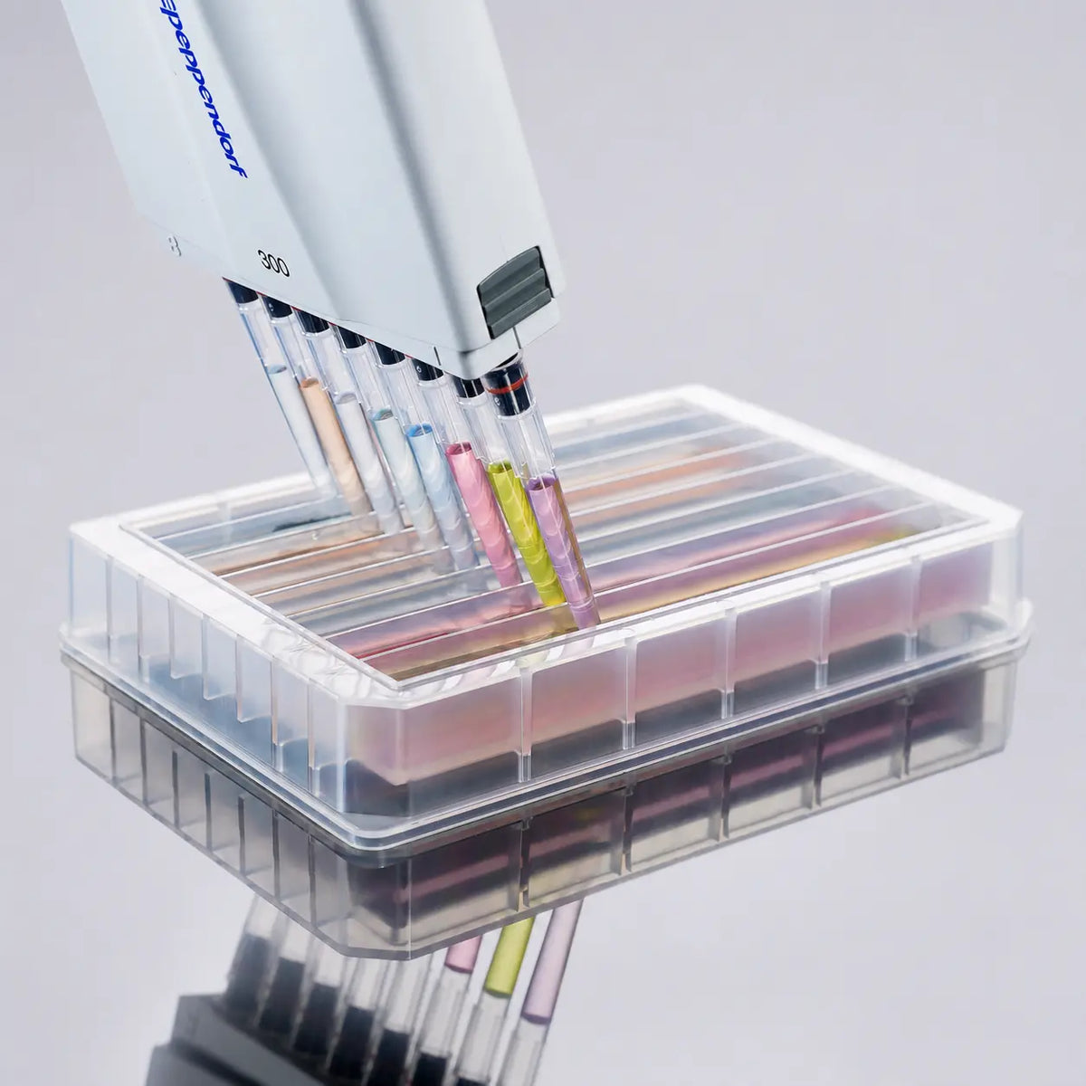 D2L0074 product image