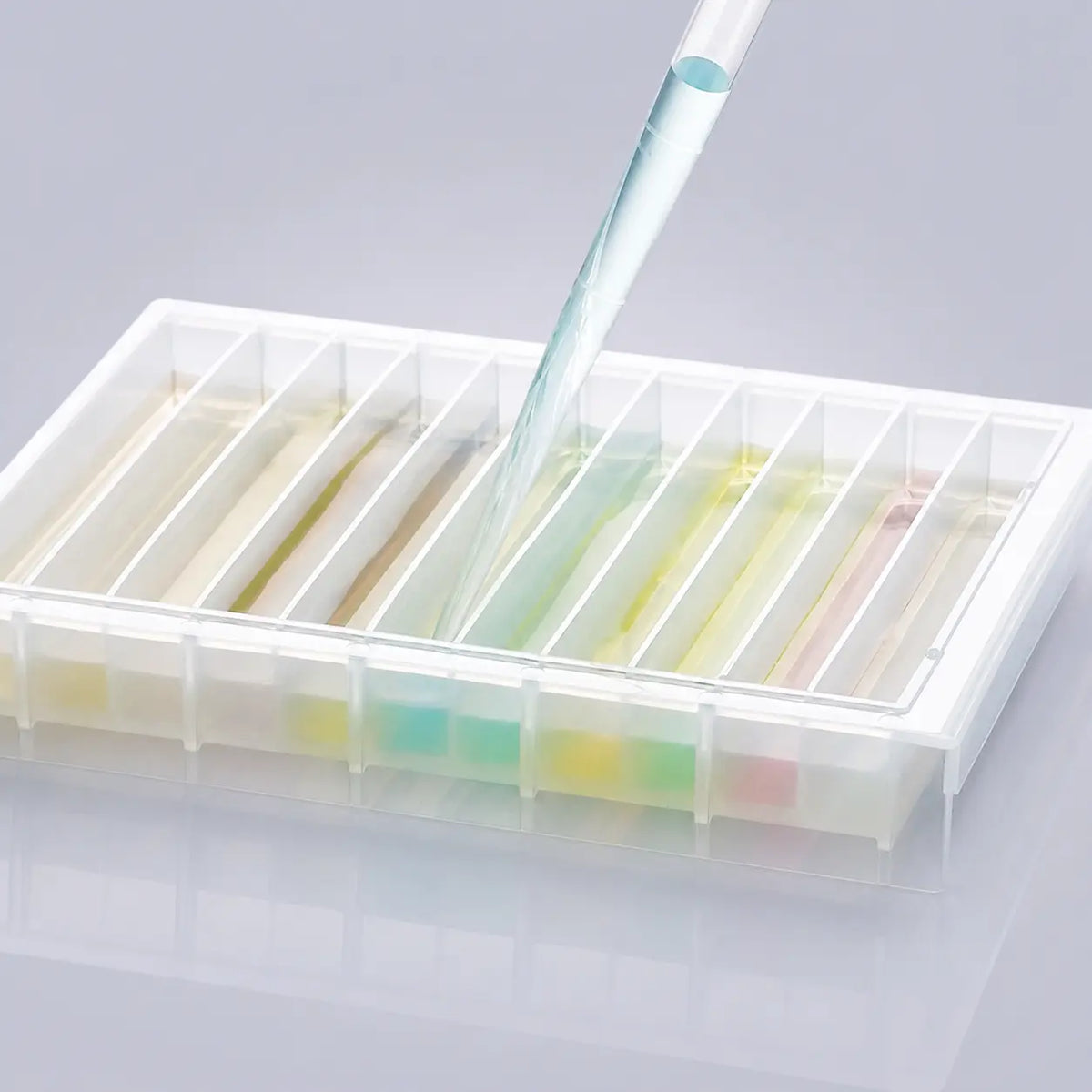 D2L0081 product image