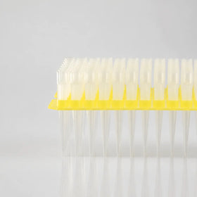 D2L0206 product image