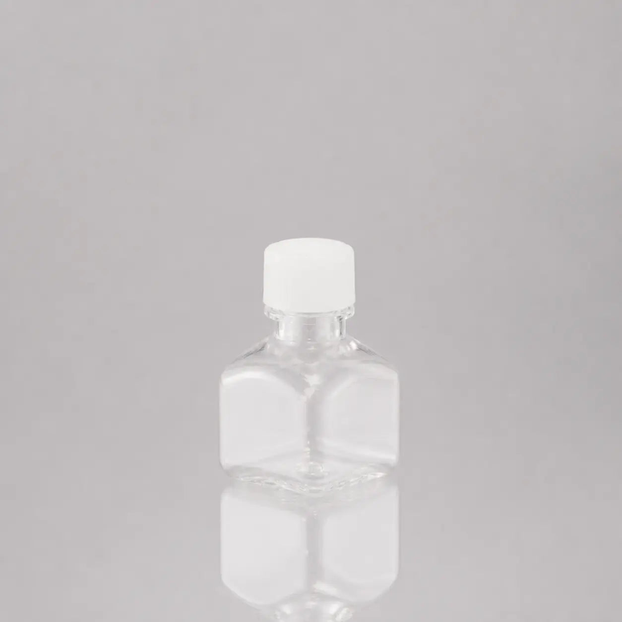 D2L0244 product image