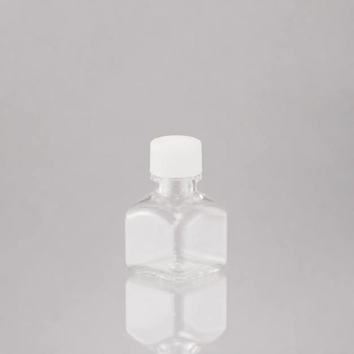 D2L0244 product image
