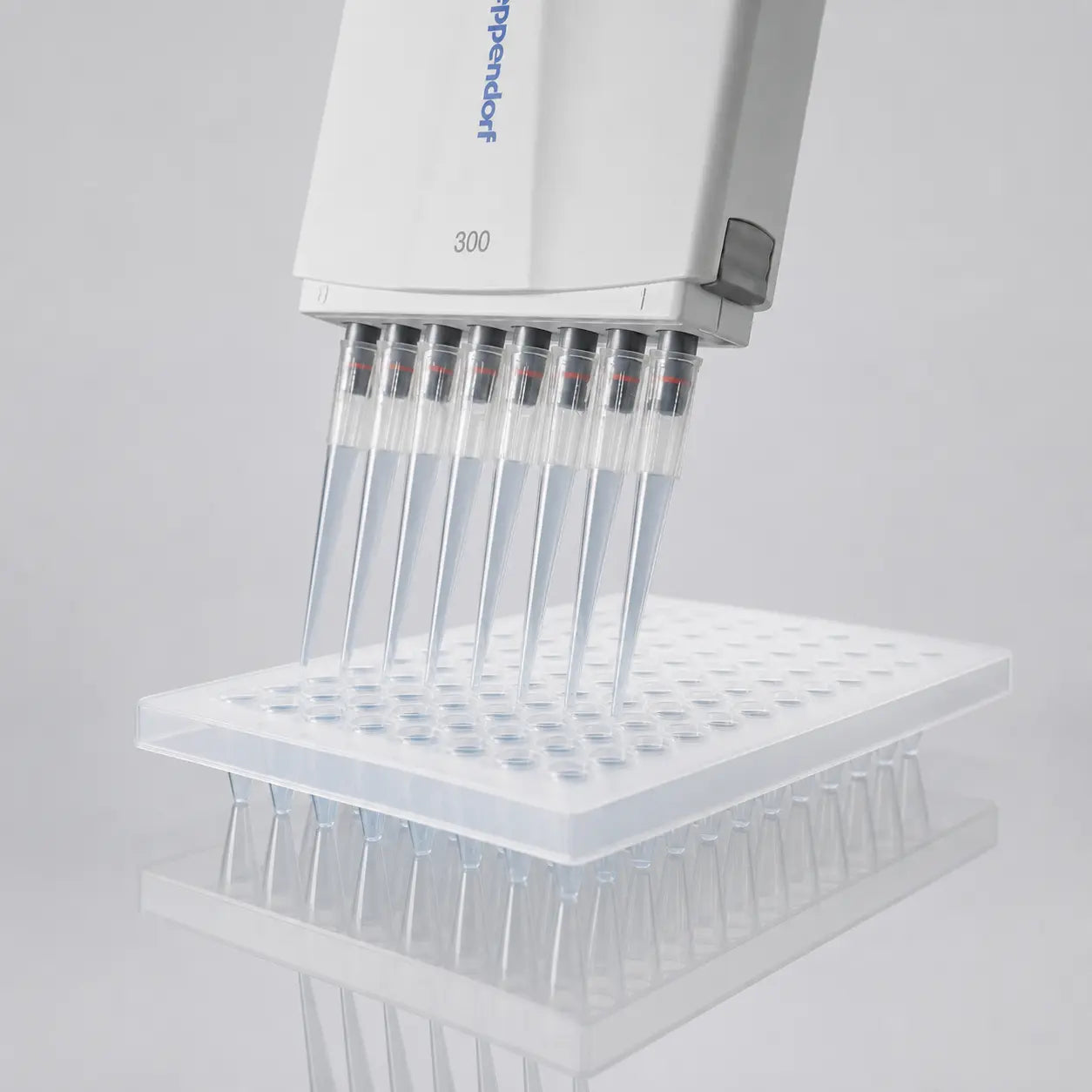 D2L0281 product image
