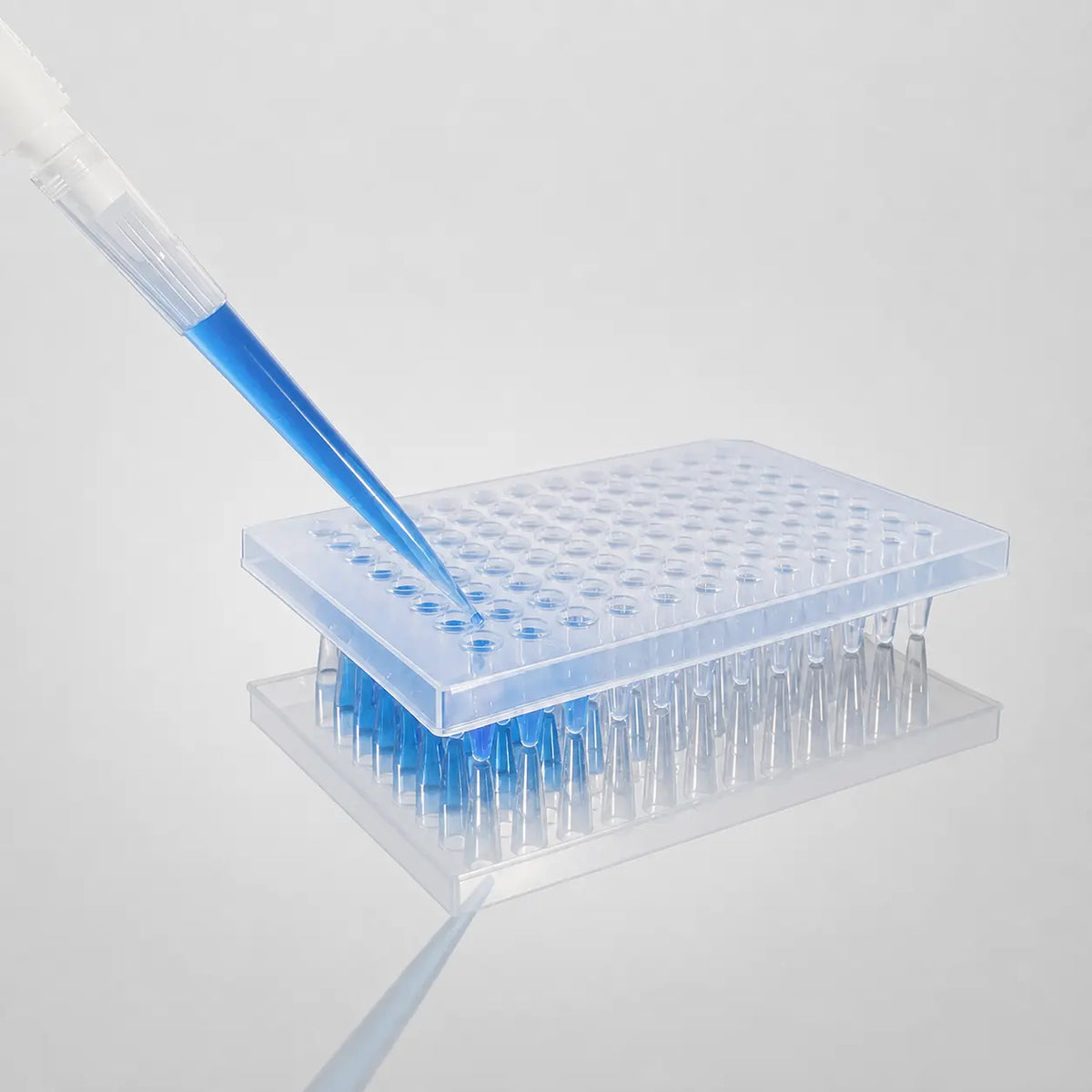 D2L0282 product image