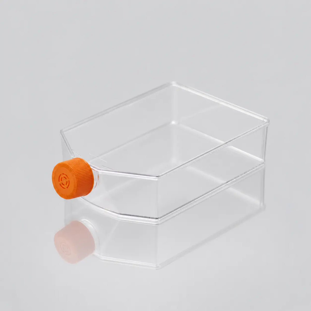 D2L0331 product image