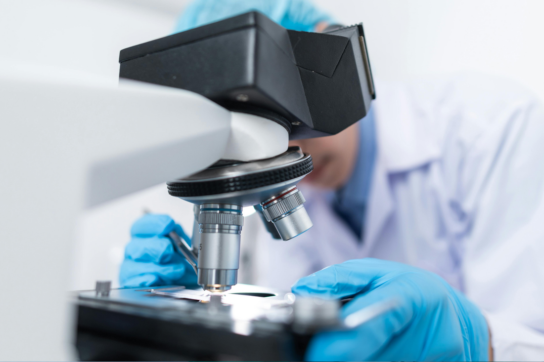 Continuity under crisis