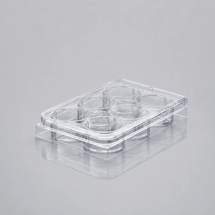 Clear D2L 6-well cell culture plate shown at an angle on a gray background